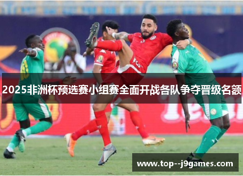 2025非洲杯预选赛小组赛全面开战各队争夺晋级名额